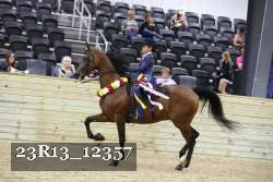 23R13_12357 thumbnail