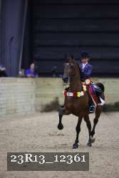 23R13_12361 thumbnail