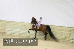 23R13_12362 thumbnail