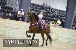 23R13_12370 thumbnail