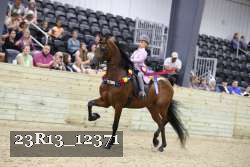 23R13_12371 thumbnail