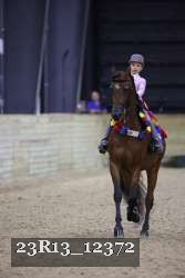 23R13_12372 thumbnail