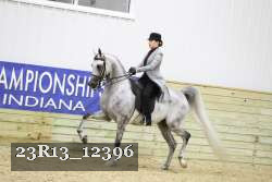 23R13_12396 thumbnail