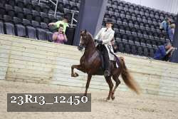 23R13_12450 thumbnail