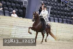 23R13_12451 thumbnail