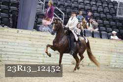 23R13_12452 thumbnail