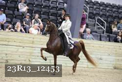 23R13_12453 thumbnail