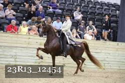 23R13_12454 thumbnail