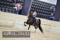 23R13_12455 thumbnail