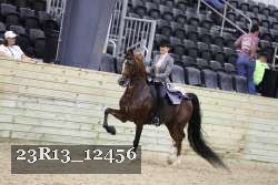 23R13_12456 thumbnail