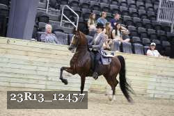 23R13_12457 thumbnail