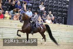 23R13_12458 thumbnail