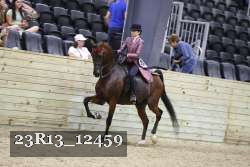 23R13_12459 thumbnail