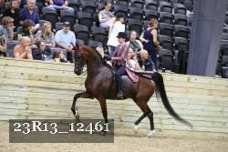 23R13_12461 thumbnail