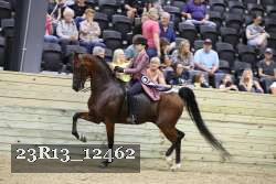 23R13_12462 thumbnail