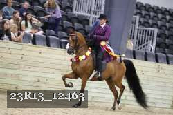 23R13_12463 thumbnail