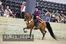23R13_12464 thumbnail