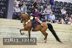 23R13_12465 thumbnail