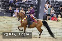 23R13_12466 thumbnail