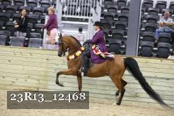 23R13_12468 thumbnail