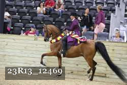 23R13_12469 thumbnail