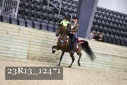 23R13_12471 thumbnail