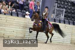 23R13_12472 thumbnail