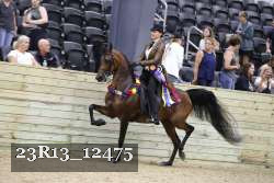 23R13_12475 thumbnail