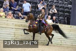 23R13_12476 thumbnail