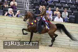 23R13_12477 thumbnail