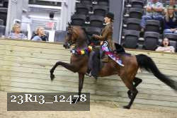 23R13_12478 thumbnail