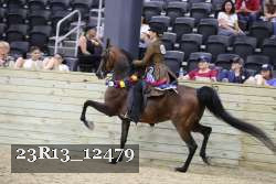 23R13_12479 thumbnail