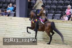 23R13_12480 thumbnail