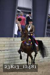 23R13_12481 thumbnail