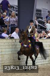 23R13_12482 thumbnail