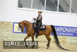 23R13_12521 thumbnail