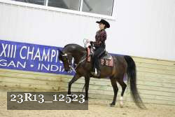 23R13_12523 thumbnail