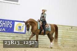 23R13_12527 thumbnail