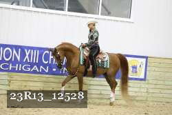 23R13_12528 thumbnail