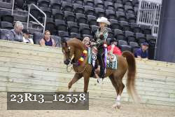23R13_12558 thumbnail