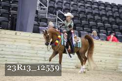 23R13_12559 thumbnail