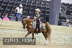 23R13_12561 thumbnail
