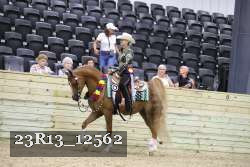 23R13_12562 thumbnail