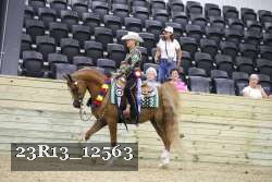 23R13_12563 thumbnail