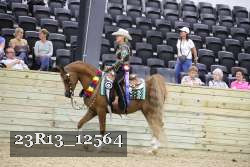23R13_12564 thumbnail