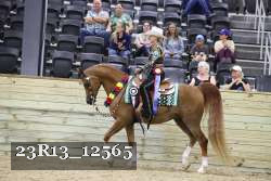 23R13_12565 thumbnail