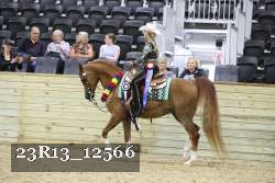 23R13_12566 thumbnail
