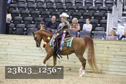 23R13_12567 thumbnail