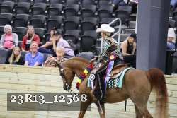 23R13_12568 thumbnail