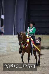 23R13_12573 thumbnail